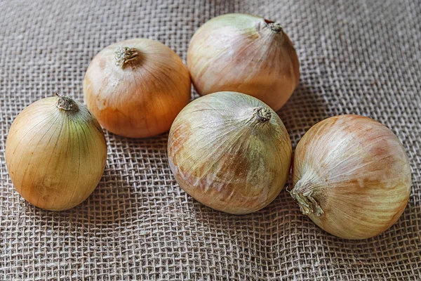 Bulbos Cebolla Orgánica Cruda Tela Arpillera Cerca — Foto de Stock