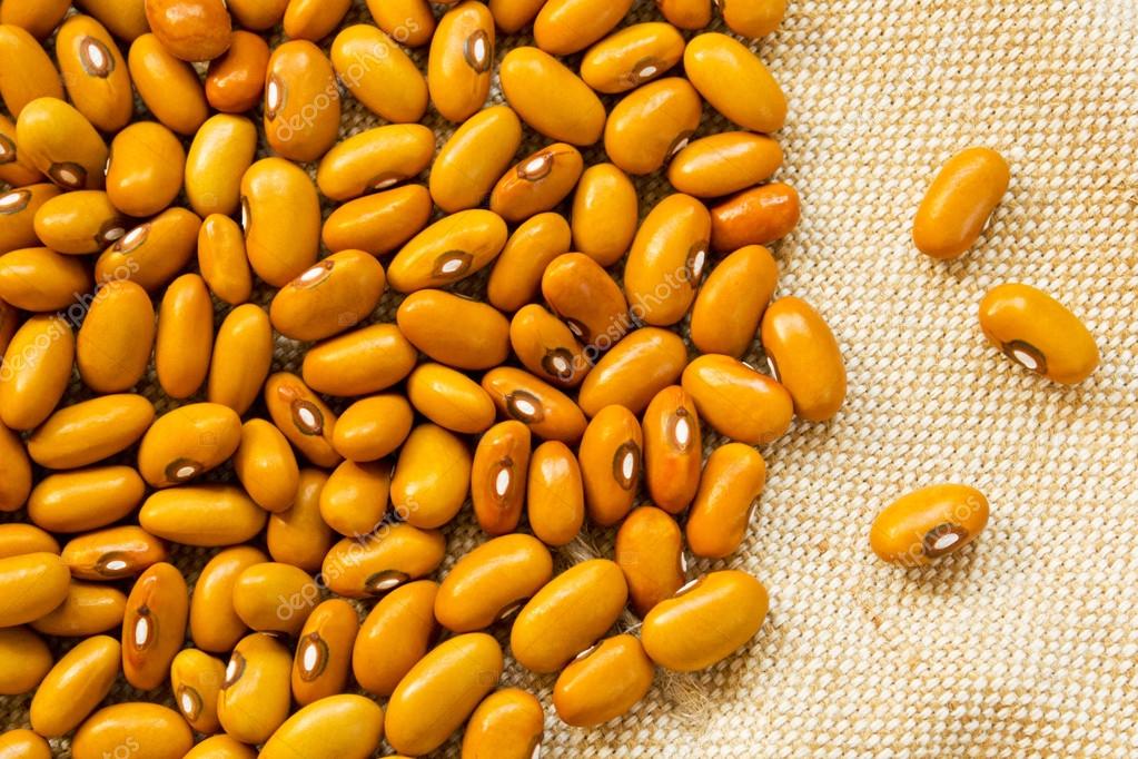 Frijoles amarillos secos — Fotos de Stock © Gisma #102246728