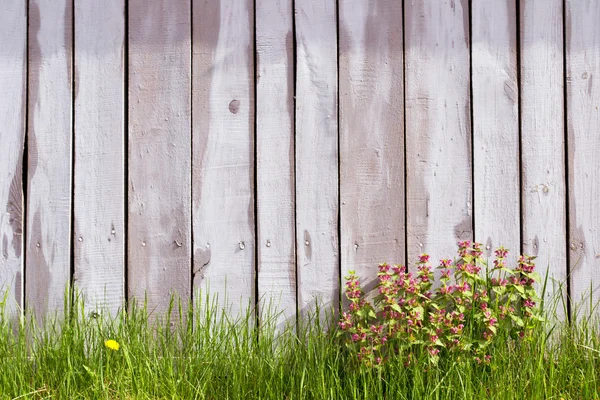 Garden fence and flowers as a background