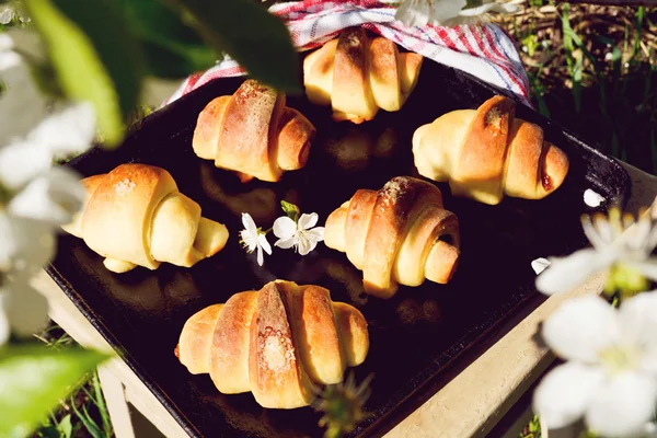 Delicious croissants — Stock Photo, Image