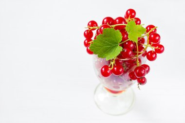 Beyaz arkaplanda kırmızı üzümler