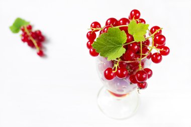 Beyaz arkaplanda kırmızı frenk üzümü