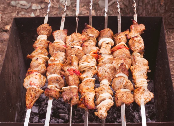 Barbacoa sobre el carbón — Foto de Stock