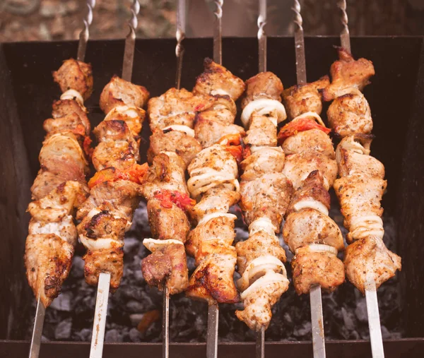 Shish kebab sobre las brasas — Foto de Stock