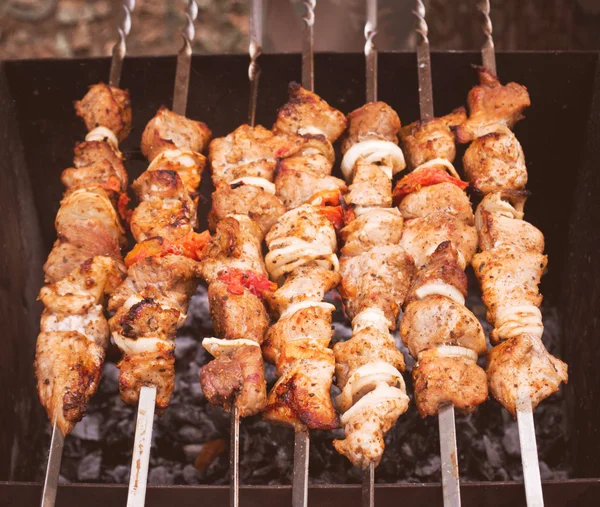 Shish kebab över glöden — Stockfoto