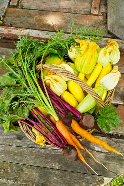 Basket of fresh vegetables — Stock Photo, Image