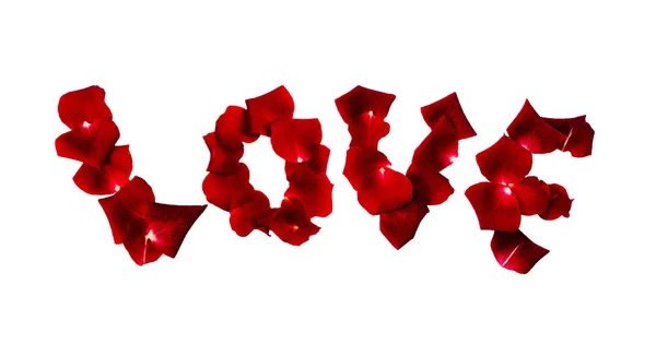 Rose petal message — Stock Photo, Image