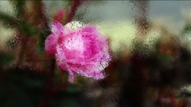 Rose con le fate e le farfalle — Video Stock