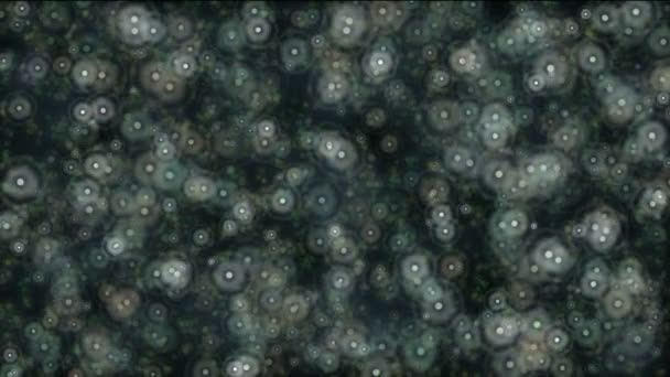 细胞和微生物 — 图库视频影像