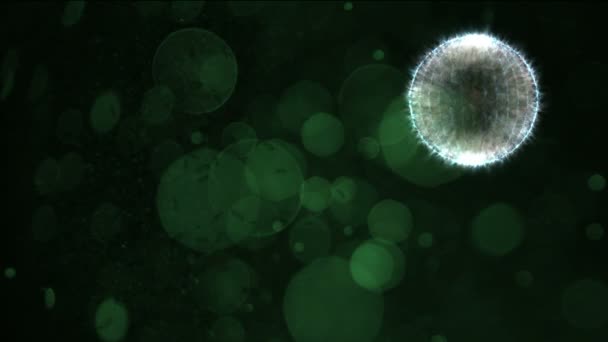 ウイルスや細菌 — ストック動画