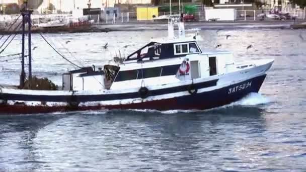Barcos de pesca de arrastre en Puerto — Vídeo de stock