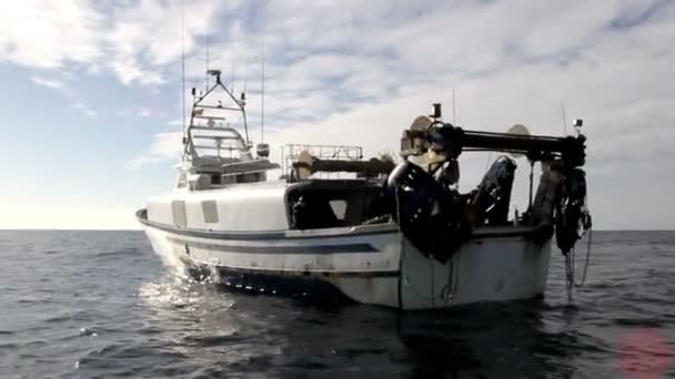 Fishing boats stopped in open waters — Stock Video