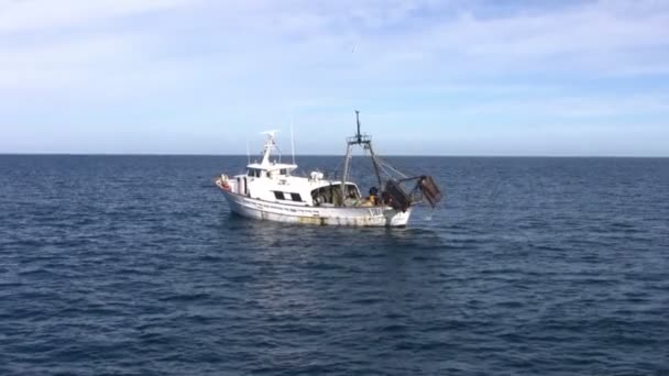 Travail de chalutier pêche bateau — Video