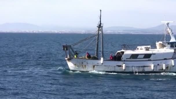 Trabajo de barco de pesca de arrastre — Vídeo de stock