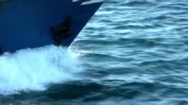 Ortak yunuslar yakın bir tekne atlama