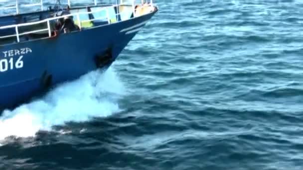 Gemeenschappelijke dolfijnen springen dicht bij een boot — Stockvideo