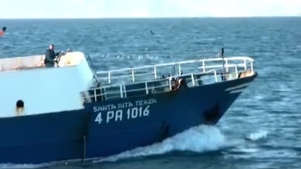Comuns golfinhos pulando perto de um barco — Vídeo de Stock