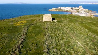 Akdeniz kıyısındaki Akdeniz turistik adası Tabarca 'nın antik kentinin havadan görünüşü, Alicante, İspanya.