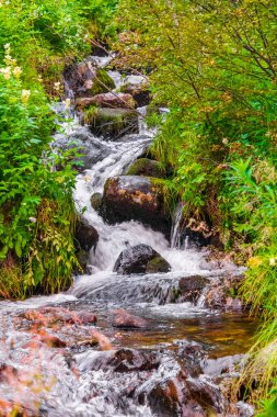 Vang i Valdres, Innlandet, Norveç 'te küçük bir şelalenin akan suyu.