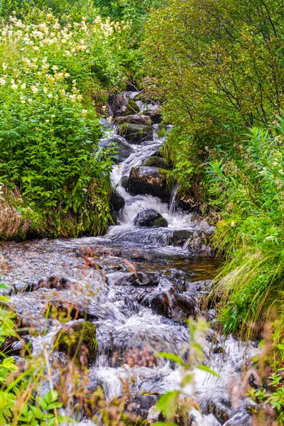 Agua Corriente Pequeño Arroyo Cascada Vang Valdres Innlandet Noruega — Foto de Stock