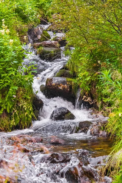 Agua Corriente Pequeño Arroyo Cascada Vang Valdres Innlandet Noruega — Foto de Stock