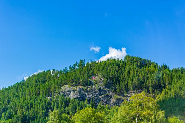 Köydeki Yeşil Ağaçlık Bir Tepede Norveç Bayrağı — Stok fotoğraf