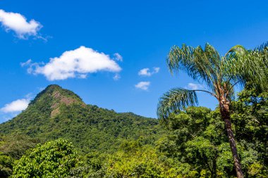 Abrao dağı Pico do Papagaio ile bulutlar. Ilha Grande, Angra dos Reis, Rio de Janeiro Brezilya.