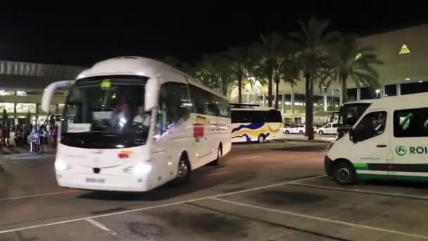 Buszok Taxik Teherautók Forgalom Palma Mallorca Repülőtér Éjjel — Stock videók