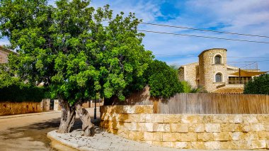 İspanya 'nın Mallorca adasında bahçeli tipik taş ev..