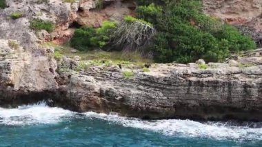 Körfez, turkuaz dalgalar ve su kaynatıyor Cala Figuera Mallorca İspanya.