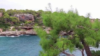 Mallorca İspanya 'daki Cala Figuera Körfezi' nin panoramik manzarası.