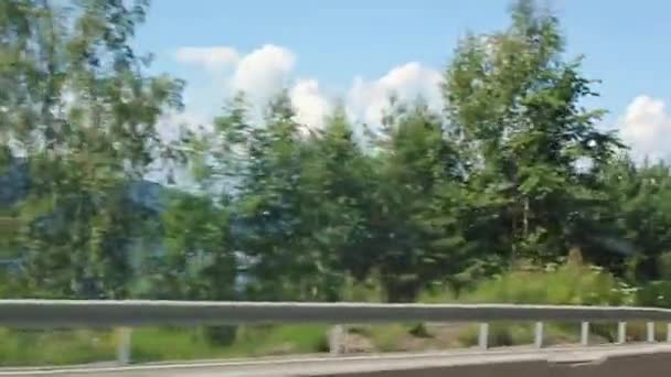 Körning Genom Norge Sommaren Med Fjäll Och Fjordutsikt — Stockvideo