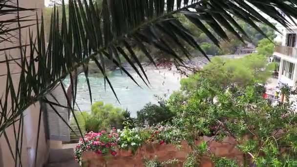 Пляж Бухта Кала Сантани Пальмами — стоковое видео