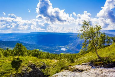 Vang i Valdres Norveç 'teki Dağ manzarası ve Vangsmjse Gölü.