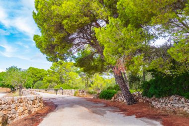 Parc Ormanı 'nda doğal yürüyüş yolu Mondrag Cala Mondrago Samarador Mallorca