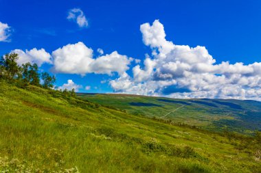 Vang i Valdres Norveç 'te güneşli bir günde dağ manzarası.