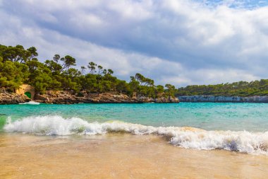 Turkuaz plajı, körfezdeki Fonts de NALs Cal den Garrot Mallorca Balearic Adaları İspanya