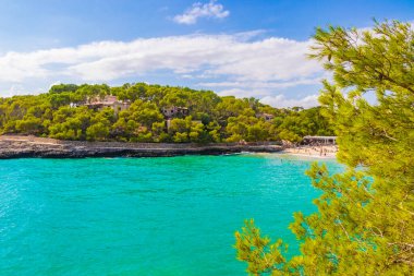 Turkuaz plajı, körfezdeki Fonts de NALs Cal den Garrot Mallorca Balearic Adaları İspanya