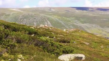 Vang Norveç 'te güneşli bir günde dağ manzarası.