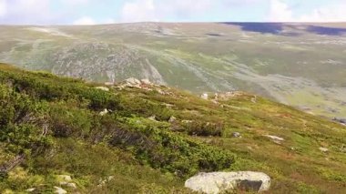 Vang Norveç 'te güneşli bir günde dağ manzarası.