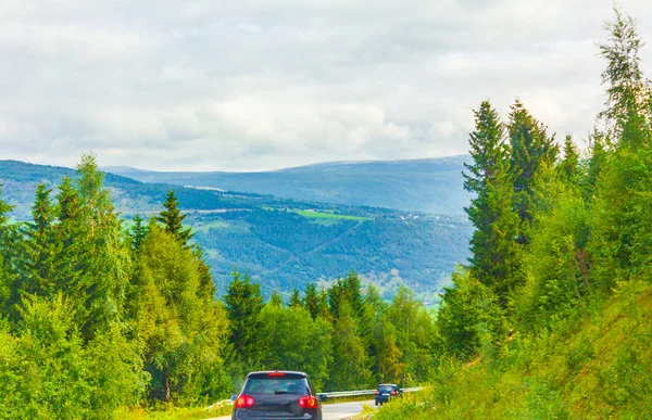 Sommer Durch Norwegen Mit Blick Auf Berge Und Wälder — Stockfoto