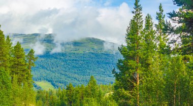 Norveç 'in Jotunheimen Ulusal Parkı' ndaki dağları ve ormanlarıyla inanılmaz Norveç manzarası.