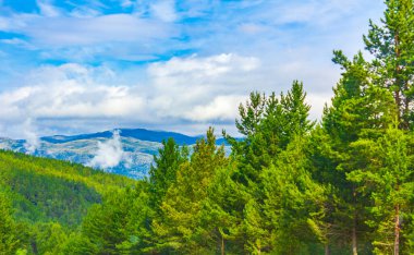 Norveç 'in Jotunheimen Ulusal Parkı' ndaki dağları ve ormanlarıyla inanılmaz Norveç manzarası.