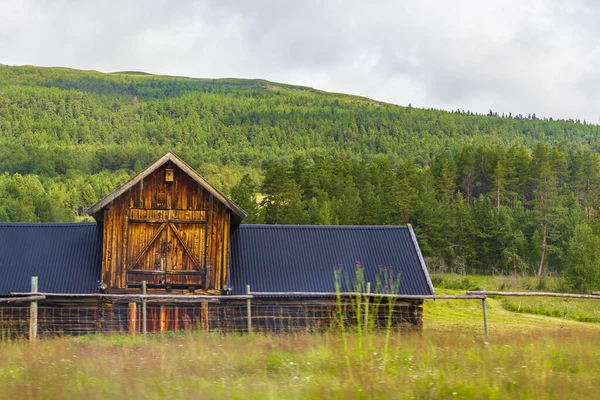 Góry Lasy Domami Zielonych Łąkach Norweskiego Krajobrazu Park Narodowy Jotunheimen — Zdjęcie stockowe