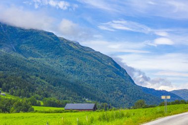 Norveç 'in Jotunheimen Ulusal Parkı' ndaki dağları ve ormanlarıyla inanılmaz Norveç manzarası.