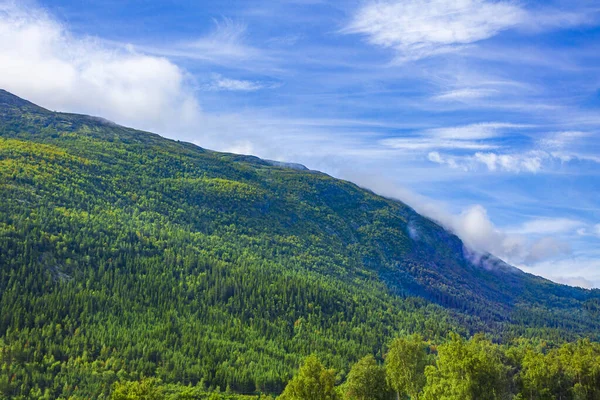 Norveç Jotunheimen Ulusal Parkı Ndaki Dağları Ormanlarıyla Inanılmaz Norveç Manzarası — Stok fotoğraf