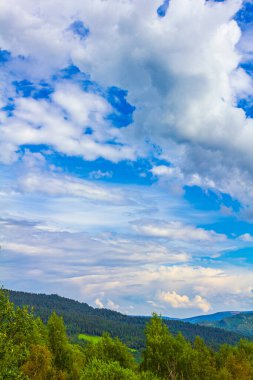 Vang i Valdres Norveç 'te güneşli bir günde dağ manzarası.