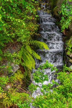 Vang i Valdres, Innlandet, Norveç 'te küçük güzel bir şelalenin akan suyu.