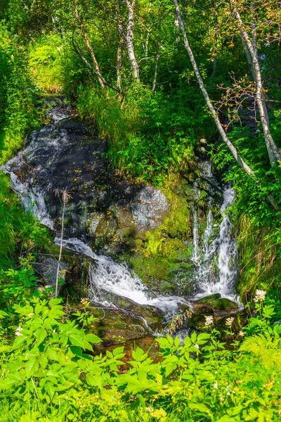 Agua Corriente Una Pequeña Cascada Hermosa Vang Valdres Innlandet Noruega — Foto de Stock