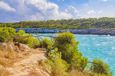Koyda turkuaz su ve doğa yürüyüş yolu Cal den Garrot Mallorca Balearic Adaları İspanya